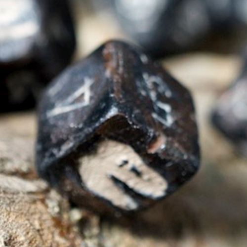 Single carved solid T-Rex fossil D6 die