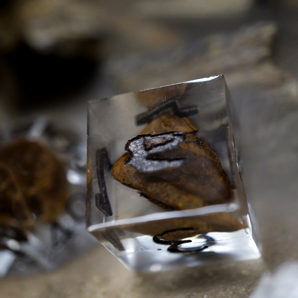 Genuine Tyrannosaurus bone inclusion visible through a clear D6