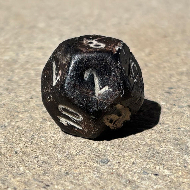 Single carved solid T-Rex fossil D12 die