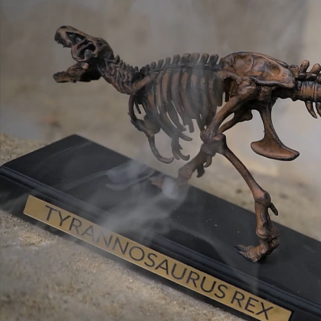 Real T-Rex Bone Skeleton Replica