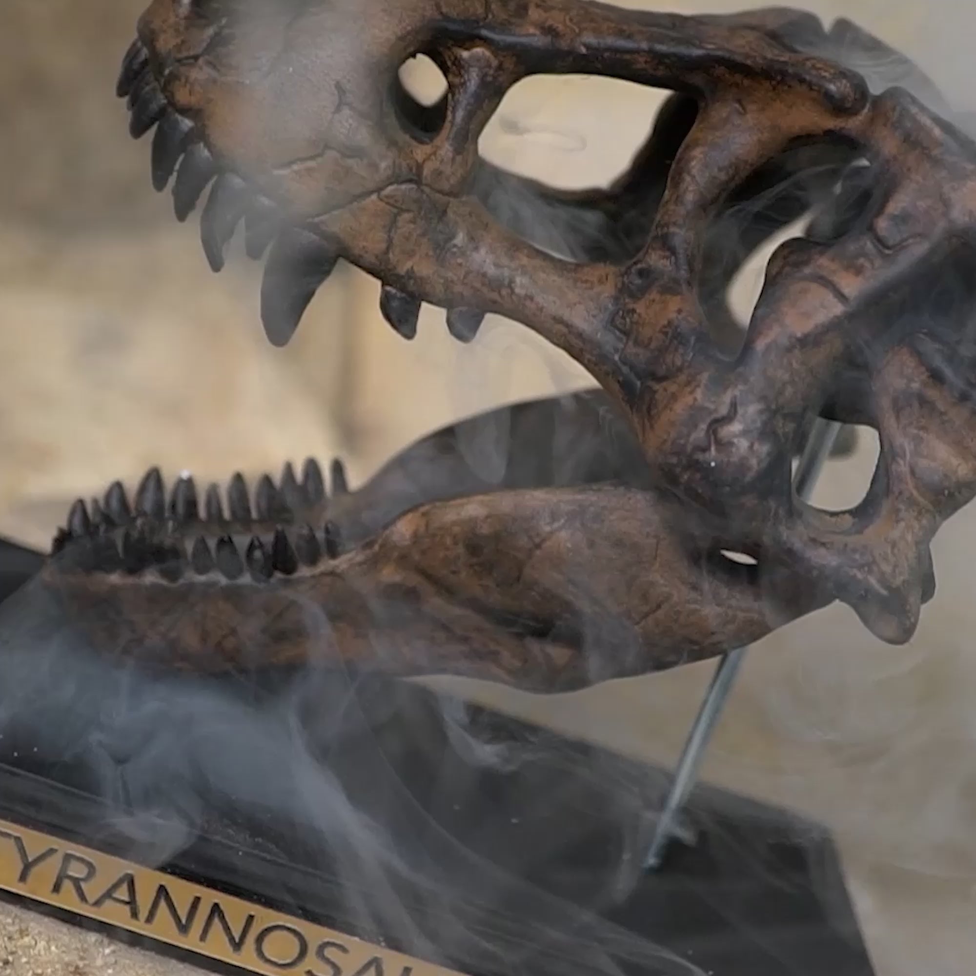 Real T-Rex Bone Skull Replica