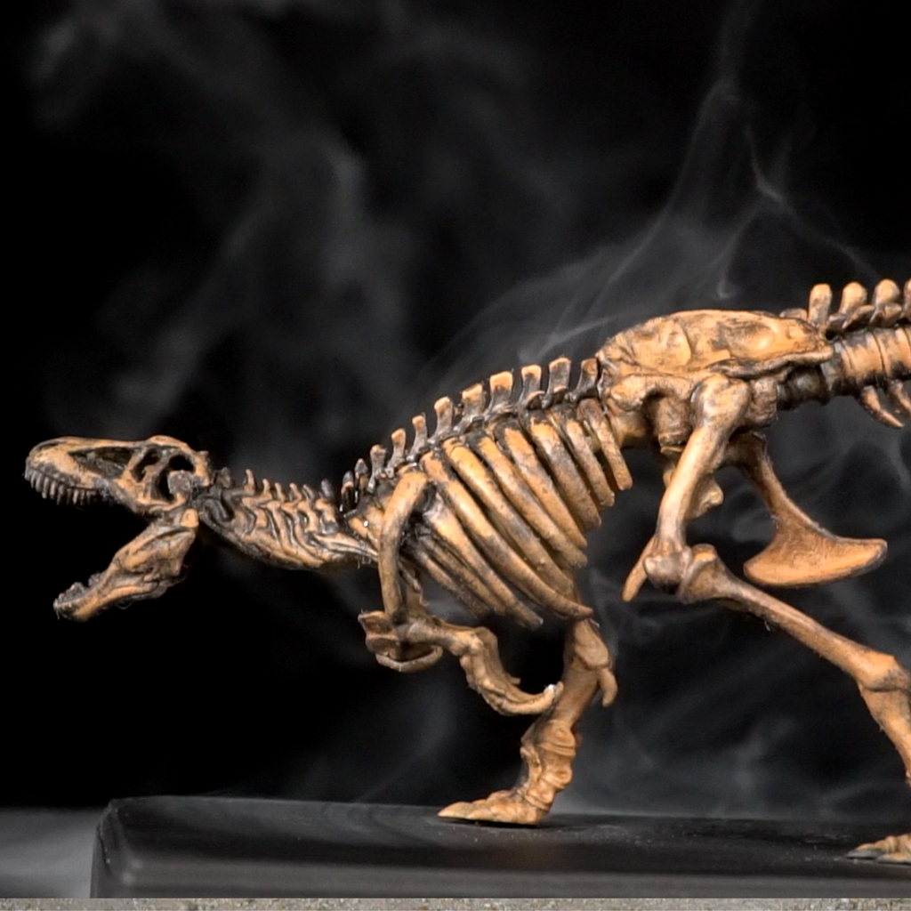 Real T-Rex Bone Skeleton Replica