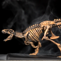 Real T-Rex Bone Skeleton Replica