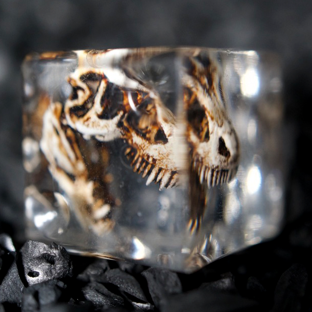 Sculpted Tyrannosaurus skull with fossil dust visible through a clear die